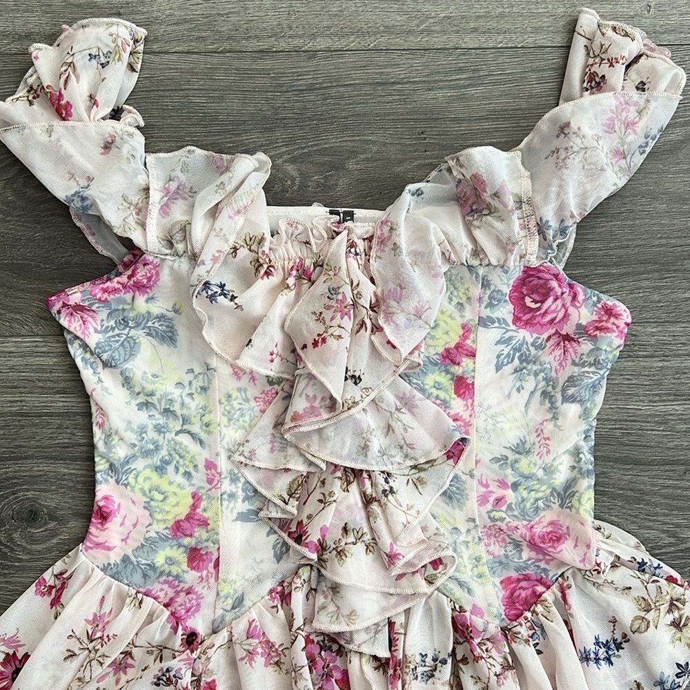 Anthropologie Off the Shoulder Mesh Top Small Pink Floral Ruffle Cottagecore NWT - Picture 6 of 12